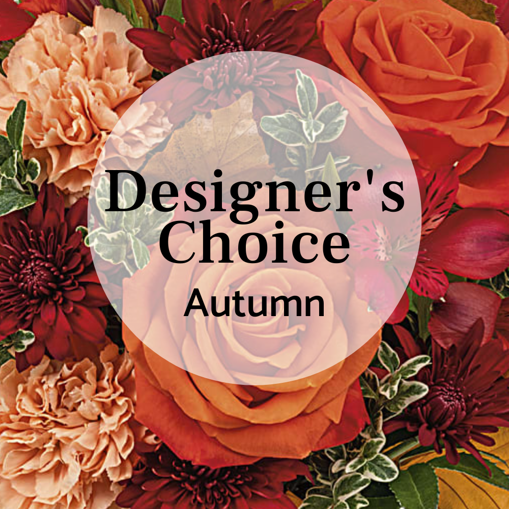 designers-choice-autumn-image